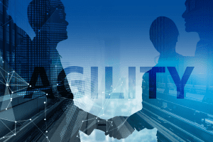 Agility image