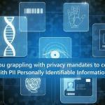 Are You Grappling with Privacy Mandates to Comply with PII – Personally Identifiable Information?